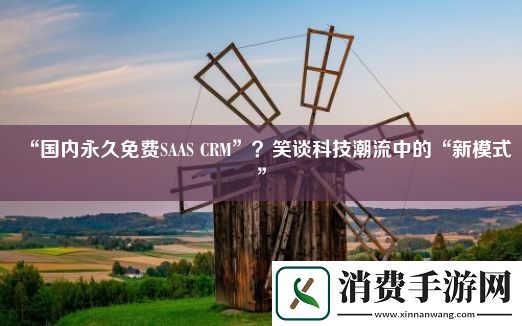 “国内永久免费SAAS