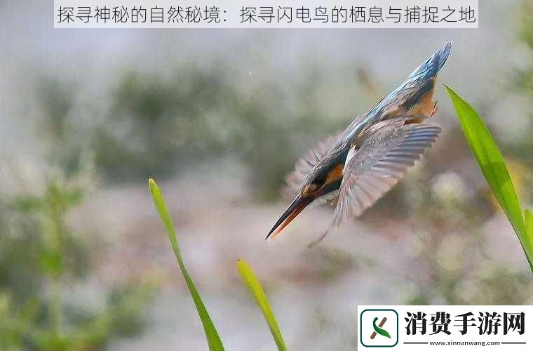 探寻神秘的自然秘境