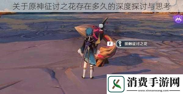 关于原神征讨之花存在多久的深度探讨与思考