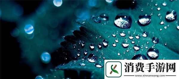 收入囊中校园HPN