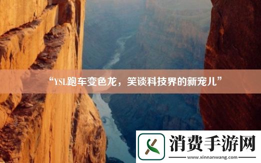 “YSL跑车变色龙