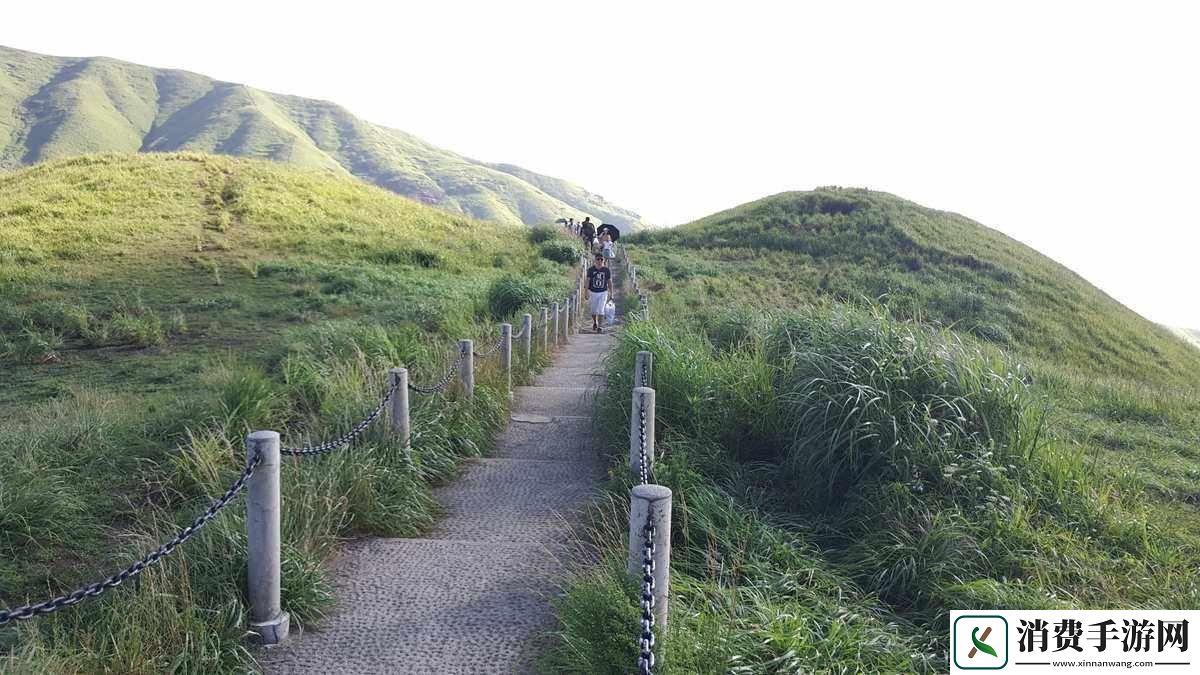 乳峰耸立