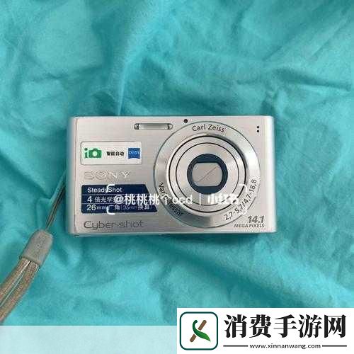 索尼w320：索尼W320这款相机在低光环境下的表现如何呢