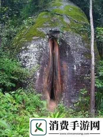 乳峰耸立-笑傲云天：一幕诙谐的科技奇观
