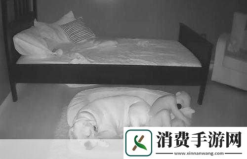 年轻夫妻把小孩哄睡后开监控：年轻夫妻在小孩入睡后是否会偷偷开监控查看宝宝的安稳情况呢