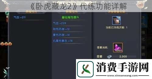 卧虎藏龙2代练功能详解