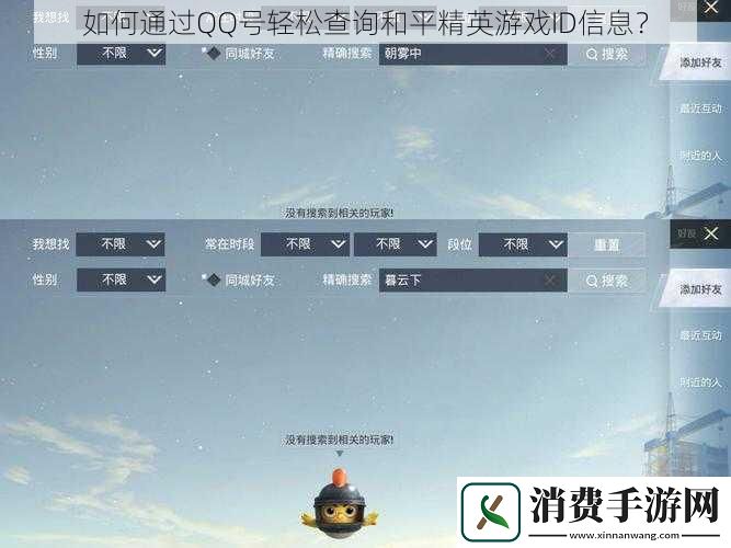 如何通过QQ号轻松查询和平精英游戏ID信息