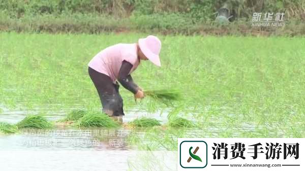 情侣24种插秧法：你知道情侣之间有哪些有趣的插秧法吗