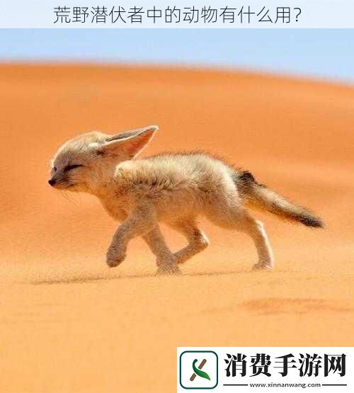 荒野潜伏者中的动物有什么用
