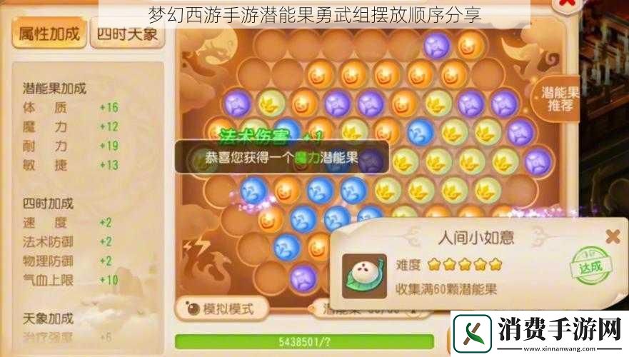 梦幻西游手游潜能果勇武组摆放顺序分享