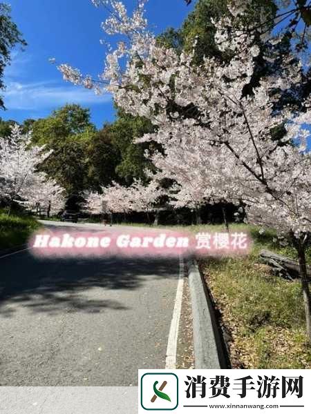 男子肯亲花园说明什么：男子肯亲花园说明了什么呢
