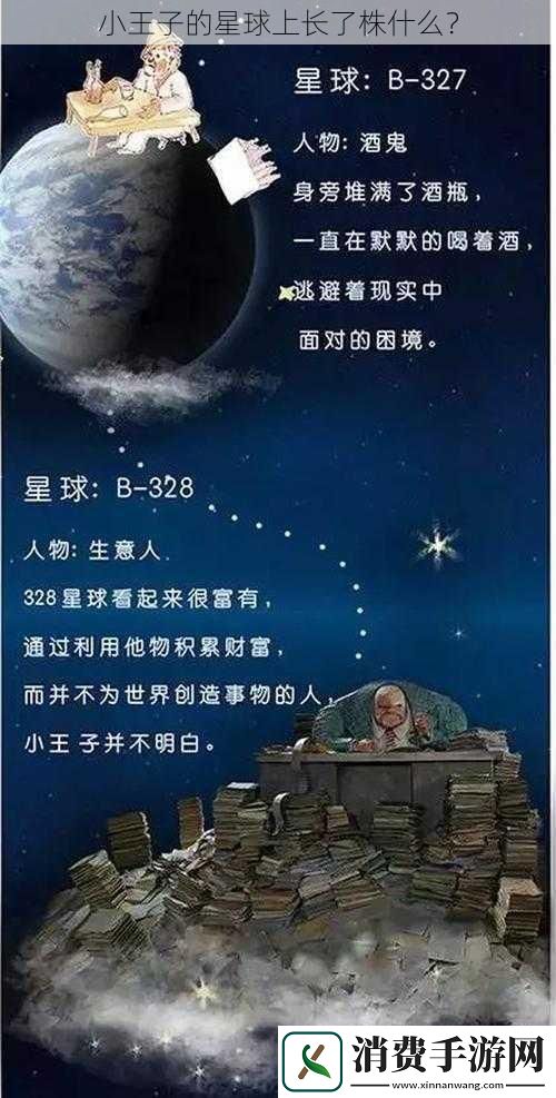 小王子的星球上长了株什么