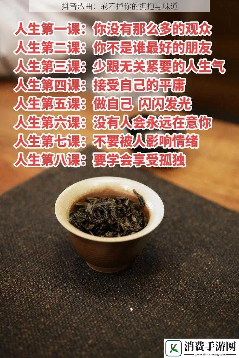 抖音热曲：戒不掉你的拥抱与味道
