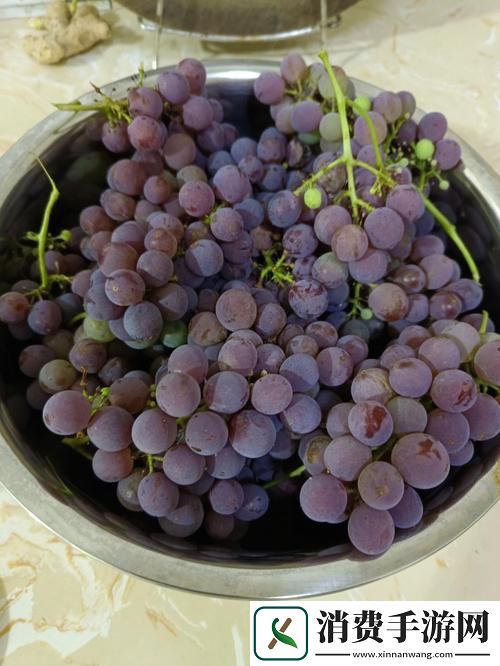 “吃葡萄不吐葡萄皮