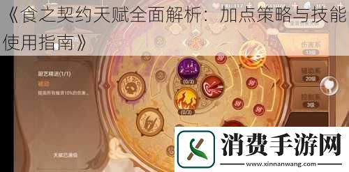 食之契约天赋全面解析