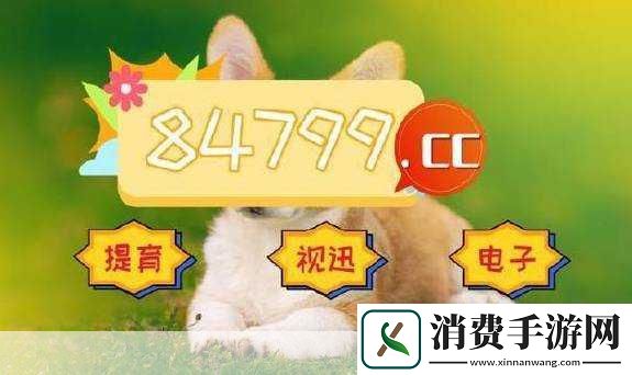 亚洲无人区码一二三码区别图片：亚洲无人区的码一、二、三码有什么区别呢