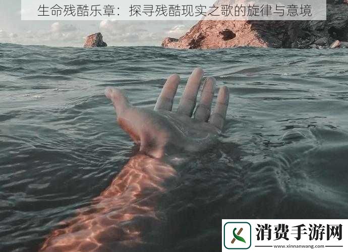 生命残酷乐章：探寻残酷现实之歌的旋律与意境