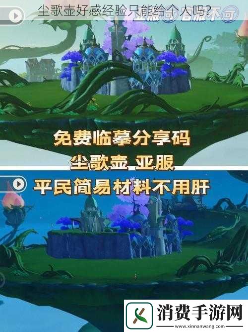 尘歌壶好感经验只能给个人吗