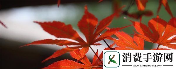 你叫的越大声我就越兴奋是什么歌词