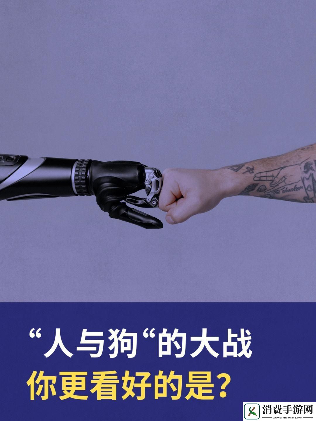 “人狗大战CSND”狂想曲：幽默背后的真实与虚构