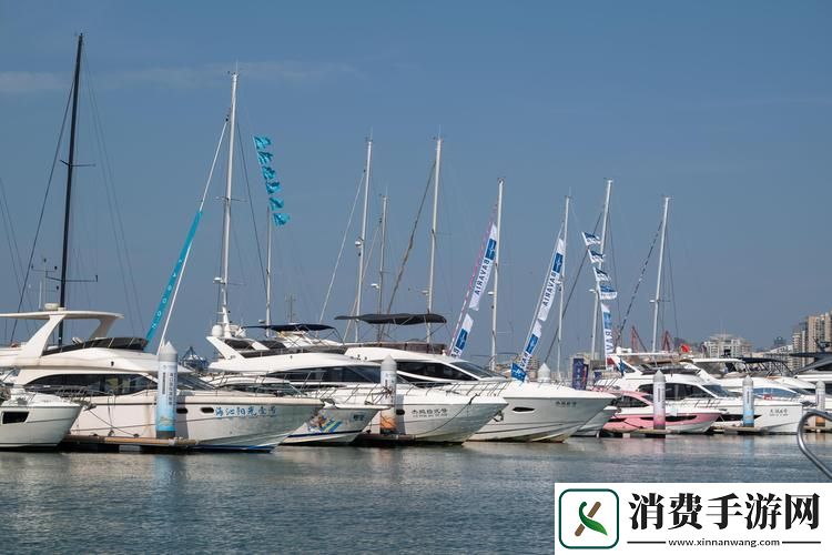 "线界狂潮：国产977-全球瞩目的小玩意儿"