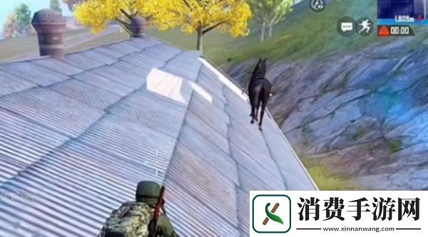 和平精英怎么狙击鲨鱼和平精英狙击鲨鱼攻略