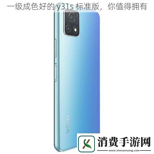 一级成色好的-y31s-标准版-你值得拥有