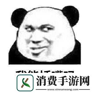 我可以插嘴吗无怎么看：众人观点大揭秘
