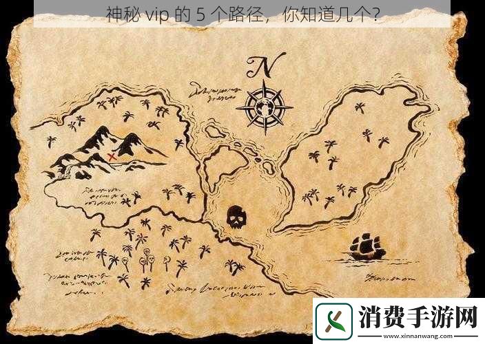 神秘-vip-的-5-个路径-你知道几个