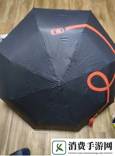 晚上弄了好几个小雨伞知乎：真的假的 