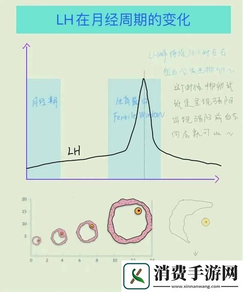 玩转“高能对撞”