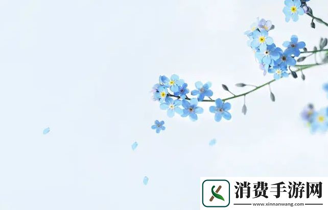 RF射频和HDMI高清线的区别到底有什么显著差异