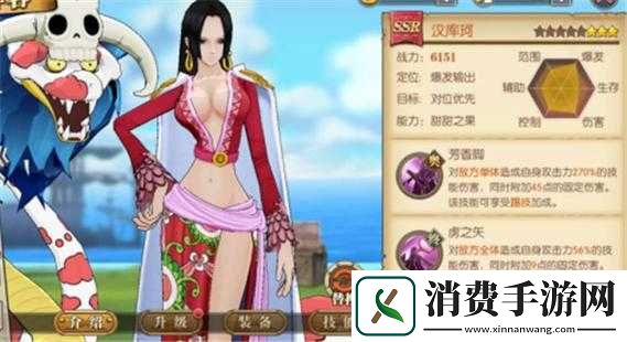 航海王燃烧意志女帝全方位指南及细节解析