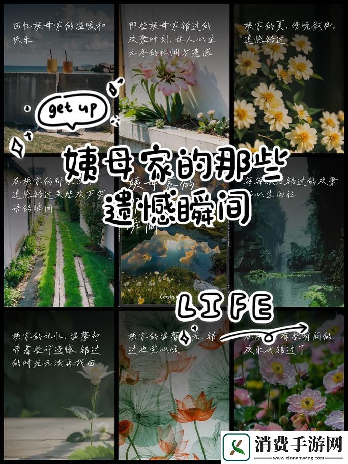 “姨母家的那些事儿