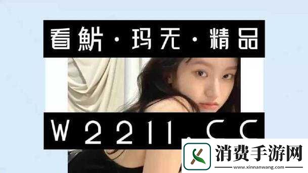 日本XXXXXLMEDJYF：深度解析与探索 