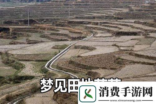 "荒诞田梦：母与子的奇迹农场"