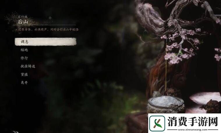 黑神话悟空翠竹林岩洞内打坐点在哪