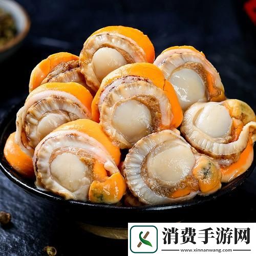扇贝肉：掀起科技行业的创新浪潮