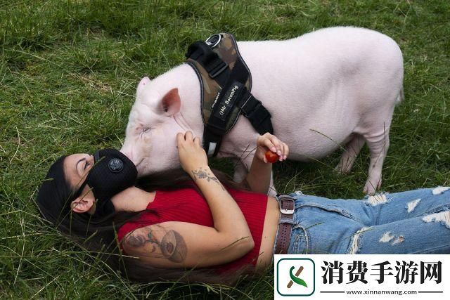 科技界的“网红”