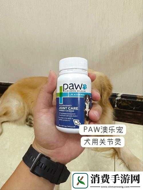 人狗胶配方大全：狗狗一天吃多少