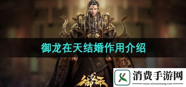 御龙在天结婚有什么用结婚作用介绍