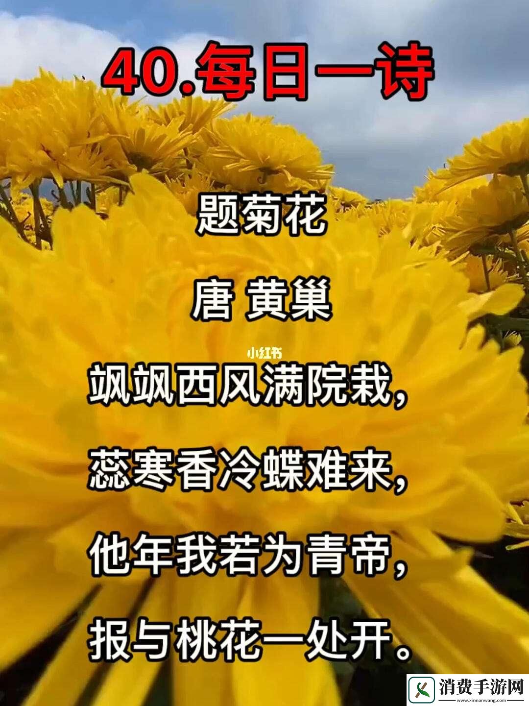 “错一题-菊放笔”：一场科技圈的幽默误解