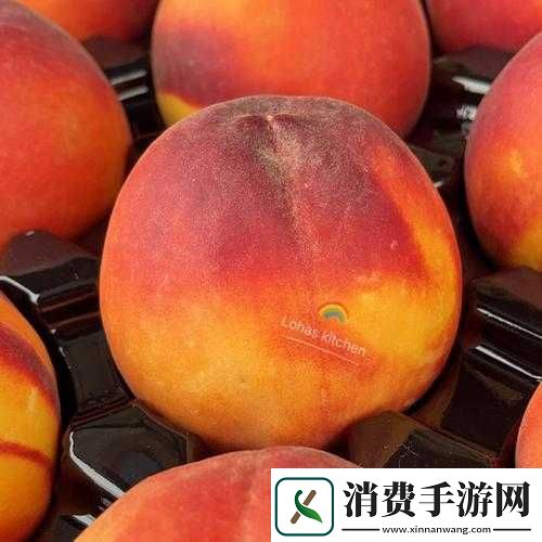 巨无霸水蜜桃-2：美味水果来袭 
