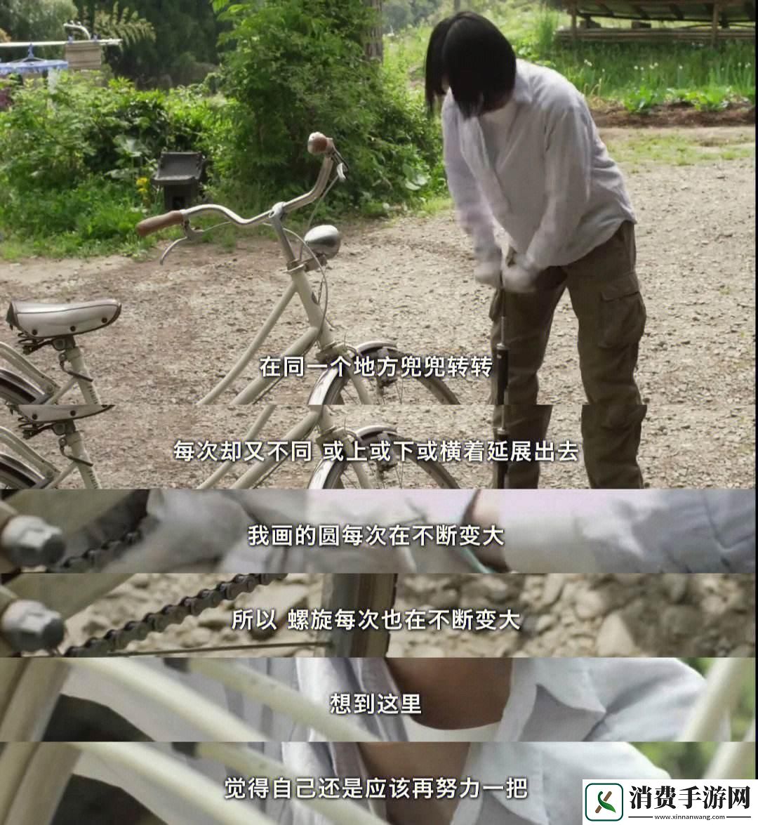 “窥探‘小森林’-揭秘‘惊喜’后的讽刺真相”