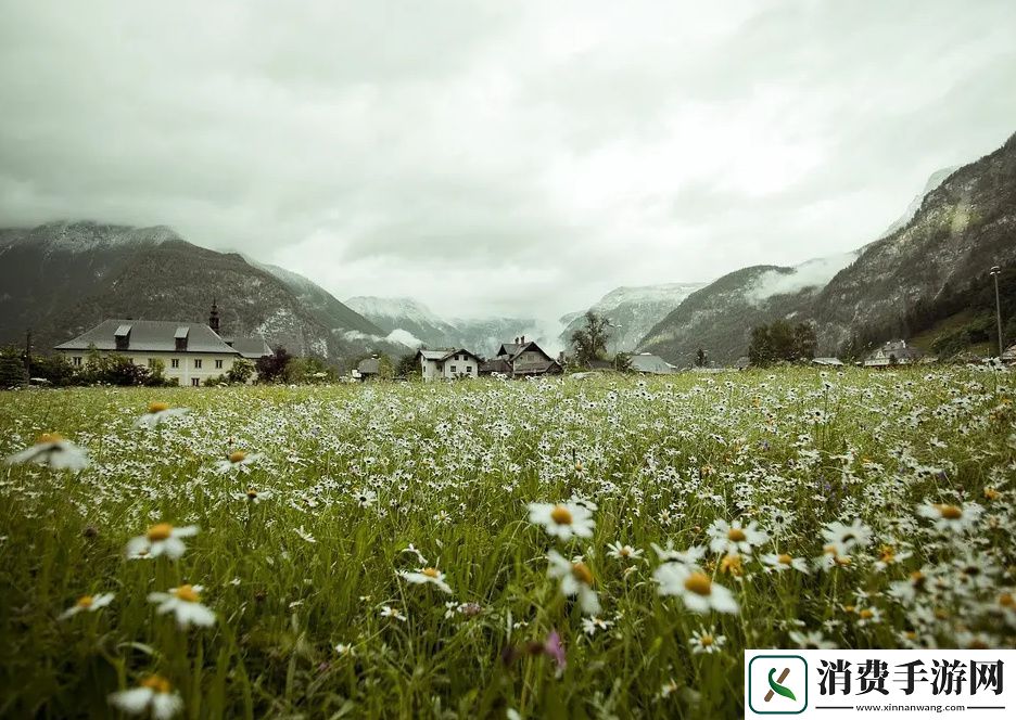 四叶草m码和欧洲码的888区别帮助你轻松选择适合的尺码