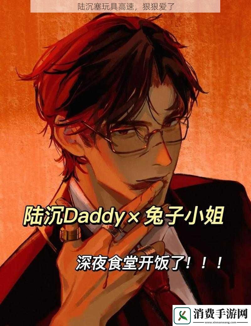 陆沉塞玩具高速-狠狠爱了