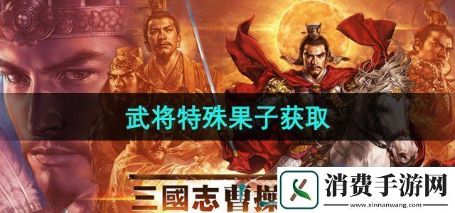 三国志曹操传果子怎么获得武将特殊果子获取