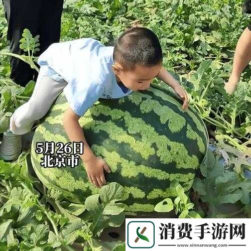 911-红领巾吃瓜爆料今日大瓜：最新消息