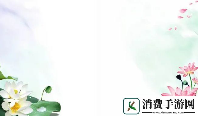 白洁赵敏张倩这三位女性在各自人生道路上的成长与挑战