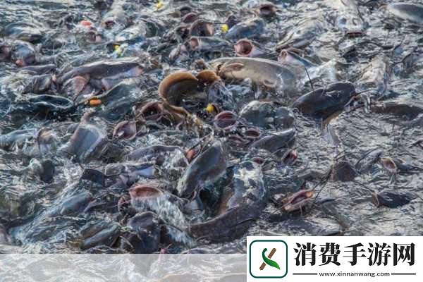 手游新风向海洋危机下的虚拟餐桌日本核污水风波韩国玩家盐阵以待海鲜大餐转战手游！